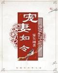 宠妻如令 - 雾矢翊