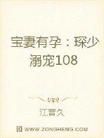 宝妻有孕：琛少溺宠108