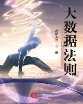 大数据法则