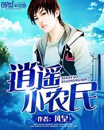 逍遥小农民 - 风皇