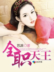 全职天王 - 苏派