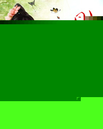 校花之贴身保镖(超级全能保镖)