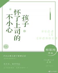 不小心怀了上司的孩子gl