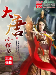大唐小侯爷 - 金枪太保