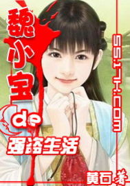 魏小宝的强盗生活