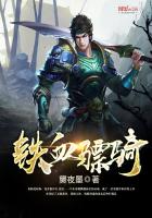 铁血骠骑 - 三十三层