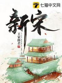 新宋 - 王家郎君