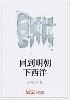 回到明朝下西洋
