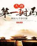 大唐第一驸马 - 四万八千岁
