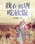 我在初唐吃软饭