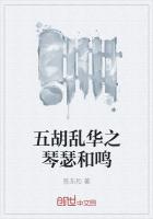 五胡乱华之琴瑟和鸣