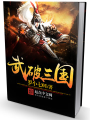 武破三国 - 罗小七01