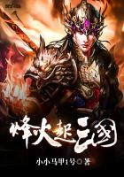 烽火起三国 - 小小马甲1号