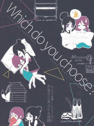 Whichdoyouchoose