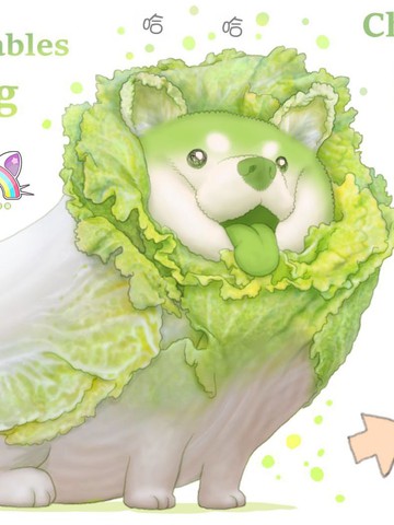 蔬菜图鑒