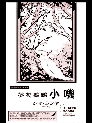 葵花鹦鹉小叽